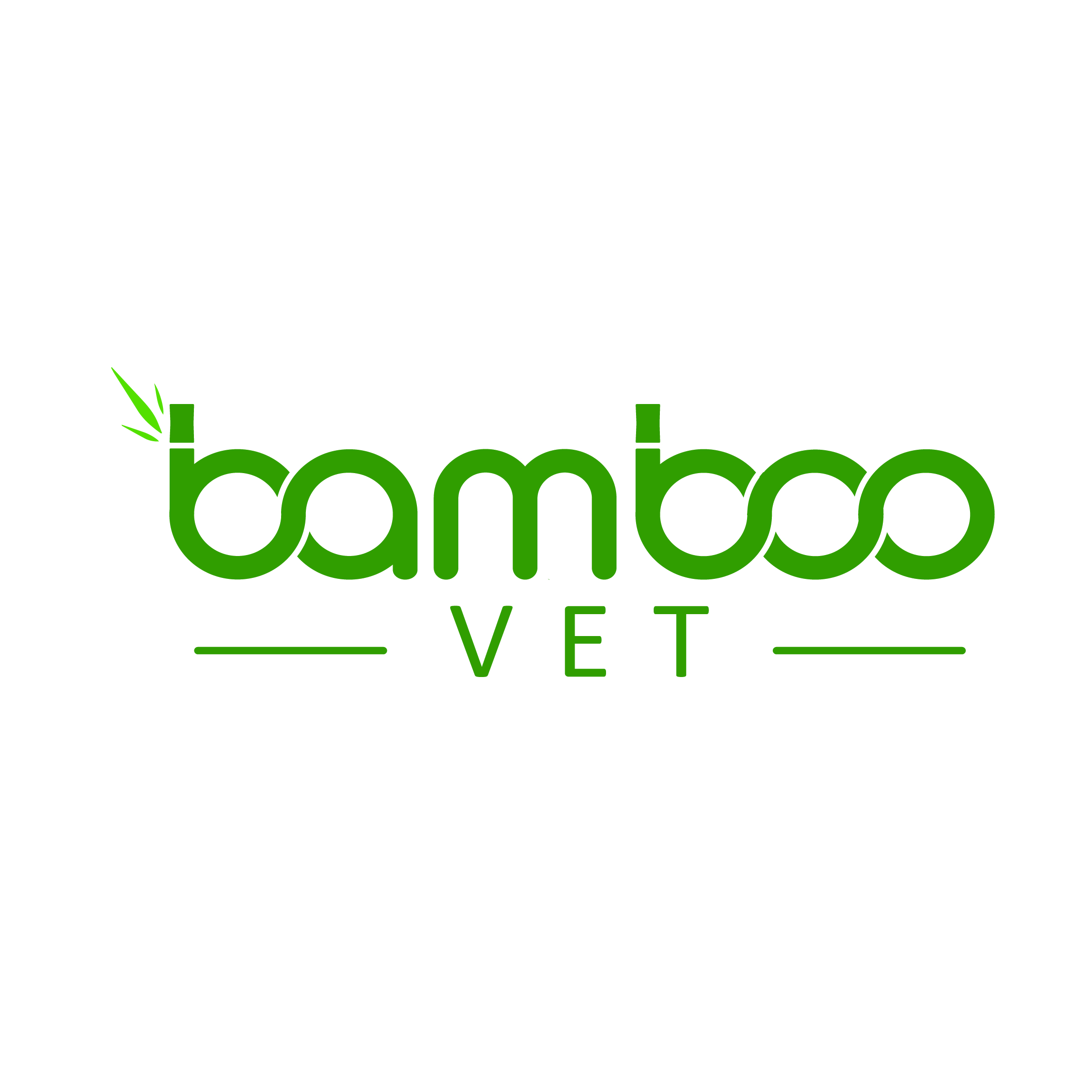 CÔNG TY CP BAMBOOVET VIỆT NAM